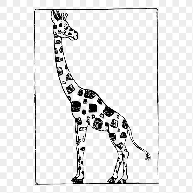Giraffe png sticker, vintage animal | Free PNG - rawpixel