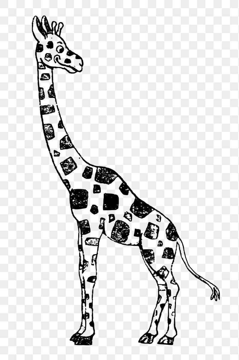 Giraffe png sticker, vintage animal | Free PNG - rawpixel