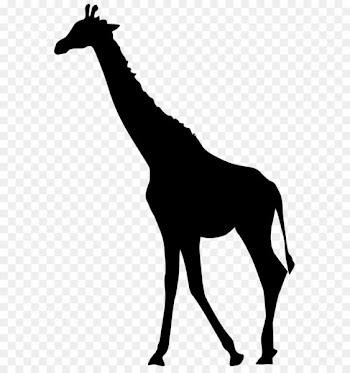Giraffe Scalable Vector Graphics - Giraffe Silhouette PNG Transparent Clip Art Image 