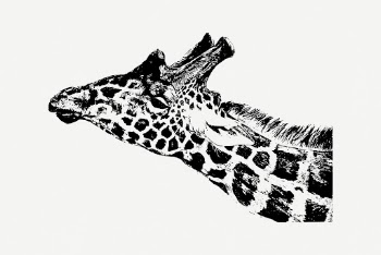 Giraffe sticker, vintage animal, wildlife | Free PSD - rawpixel