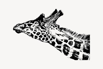 Giraffe sticker, vintage animal, wildlife | Free Vector - rawpixel
