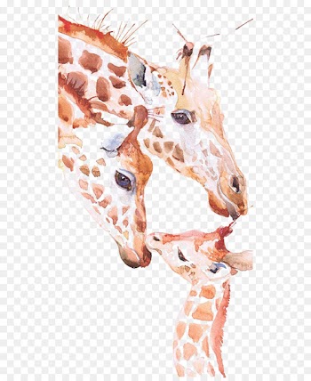 Giraffe Watercolor painting Art Drawing - giraffe 