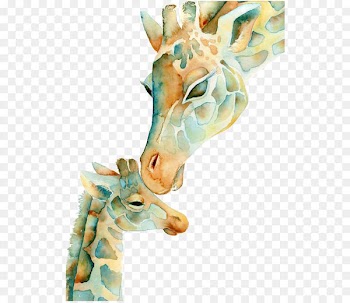 Giraffe Watercolor painting Drawing - giraffe 