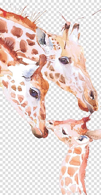 Giraffe Watercolor painting Drawing Printmaking, giraffe transparent background PNG clipart