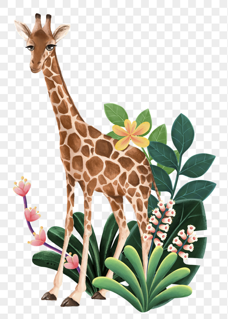 Giraffe wildlife png sticker, cute | Free PNG Illustration - rawpixel