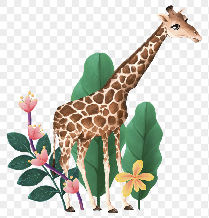 Giraffe wildlife png sticker, cute | Free PNG Illustration - rawpixel