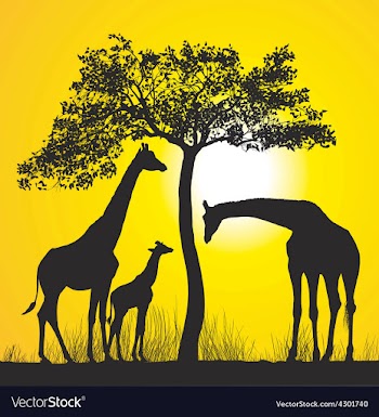  					Giraffes on the African savannah vector image														