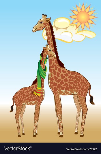 Giraffes vector image
