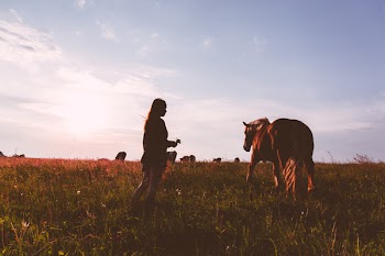 Girl and a horse