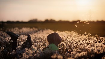 Girl Blowing A Dandelion Flower