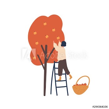 Girl gathering autumn harvest flat vector illustration