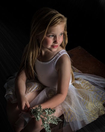 Girl Holding Green Leafed Plant 