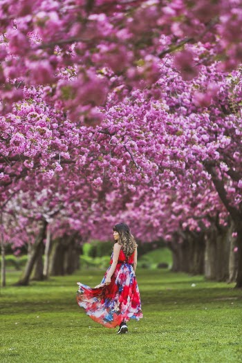 Girl in Red Floral Dress Walking Under Pink-flowering Trees