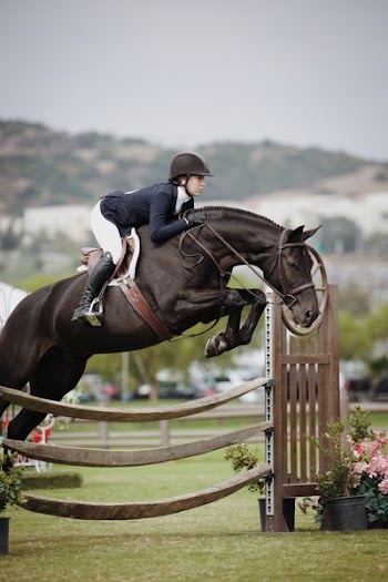 Girl on Horse Equestrian Sport