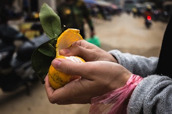 Girl peeling tangerine 