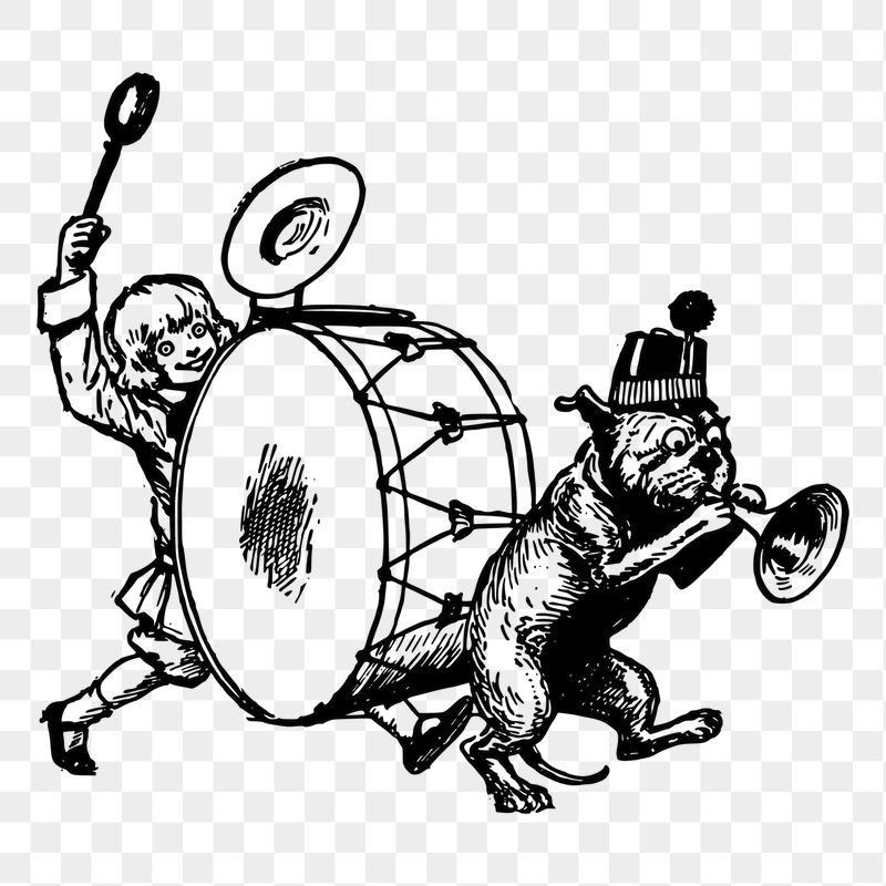 Girl playing drum png sticker, | Free PNG - rawpixel