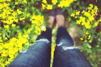 Girl standing in yellow flowers