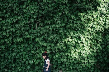 girl standing near wall covered with leafed plants during daytime