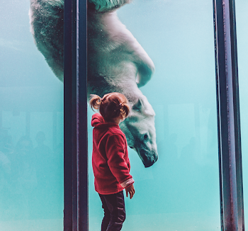 Girl Standing While Watching Polar Bear in Aquarium