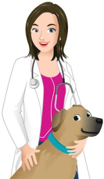 Girl Veterinarian PNG Transparent Girl Veterinarian.PNG Images ...