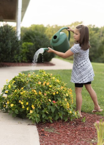 Girl Watering Yellow Flowers