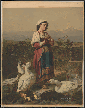 [Girl with geese and gosslings | Free Photo - rawpixel