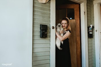 Girl with her pet cat standing by the door during the coronavirus lock.. | Free  photo - 2328025