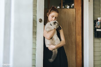 Girl with her pet cat standing by the door during the coronavirus lock.. | Free  photo - 2328919