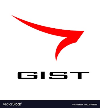 Gist sporty logo vector image