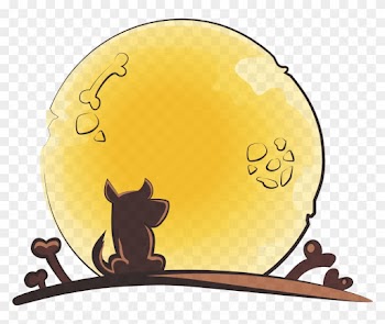Give 10% Off, Get 10% Off - Pet Food