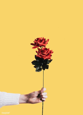 Giving a rose for Valentines day | Free stock psd mockup - 559889