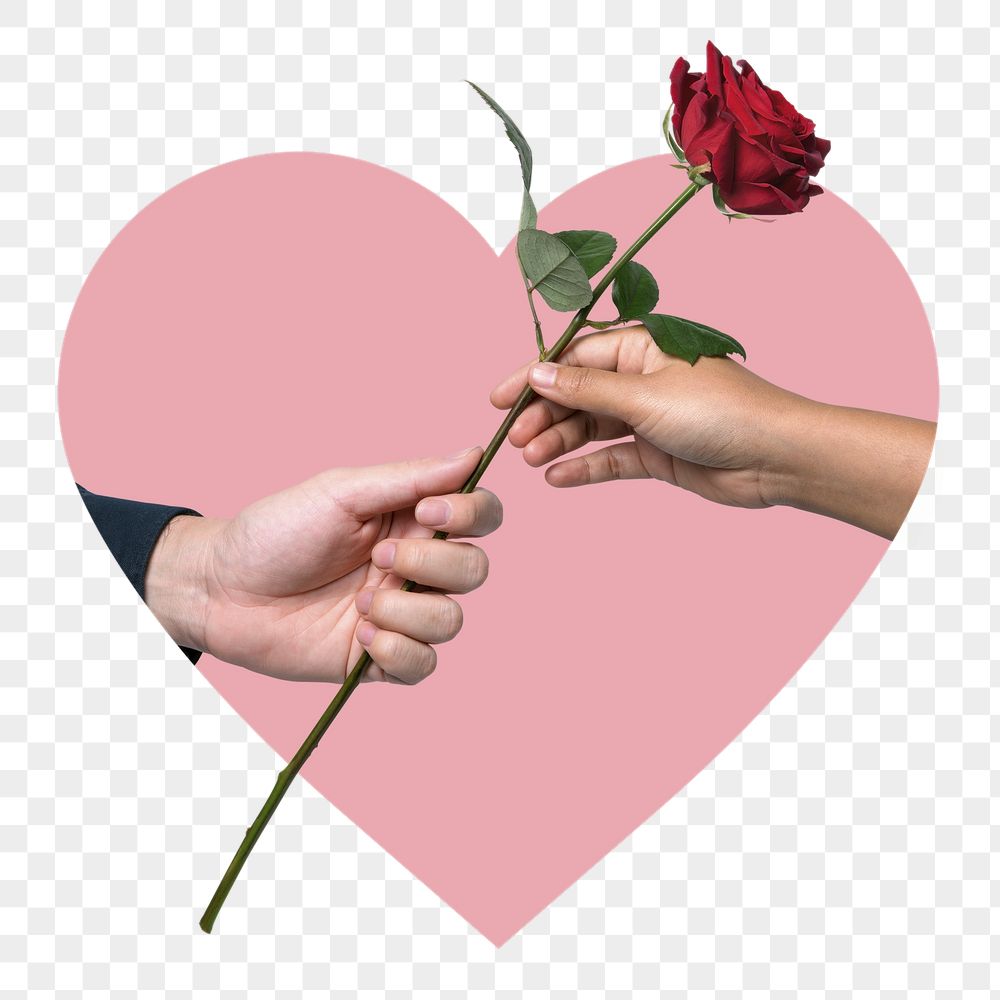 Giving rose png badge sticker, | Free PNG - rawpixel