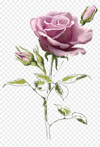 Gül Resimleri Indir,bouquet Of Red Roses And White - Vintage Roses Vector