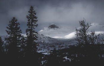 Glacier Mountains Near the Forest