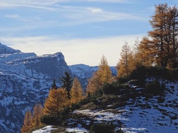 glacier mountains with trees under white and blue sky