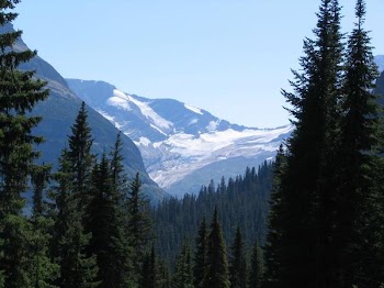 GlacierNP-View of aGlacier.JPG