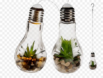 Glass bottle Salt & Pepper Shakers Plants -  
