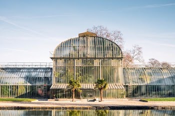 glass house plant