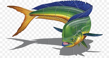 Glass mosaic Fish Mahi-mahi Art - mahi mahi 