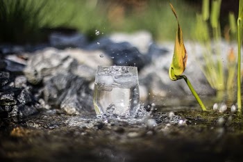 Glass of Water | Free Photo - rawpixel