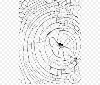 Glass Software cracking - In kind,glass,Broken effect 
