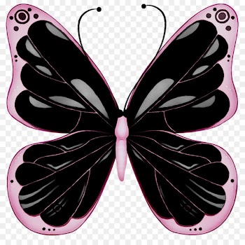 Glasswing butterfly Clip art Pink Image -  