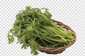 Glebionis coronaria Hot pot Vegetable Eating, Bamboo basket of TongHao transparent background PNG clipart