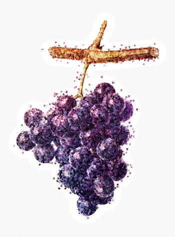 Glitter black grapes fruit sticker with white border | Free  transparent png - 2354722