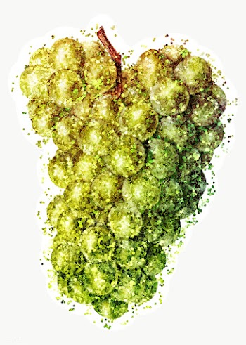 Glitter green grape fruit illustration with a white border sticker | Free  transparent png - 2358969