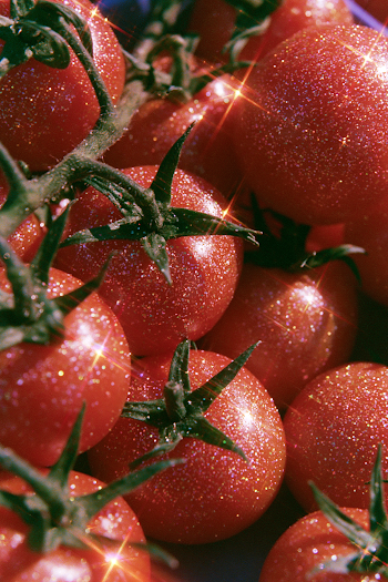 Glittering Tomatoes Close-Up