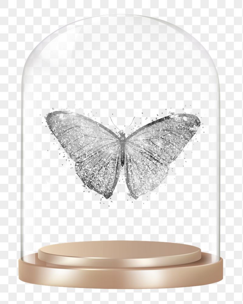 Glittery butterfly png glass dome | Free PNG - rawpixel