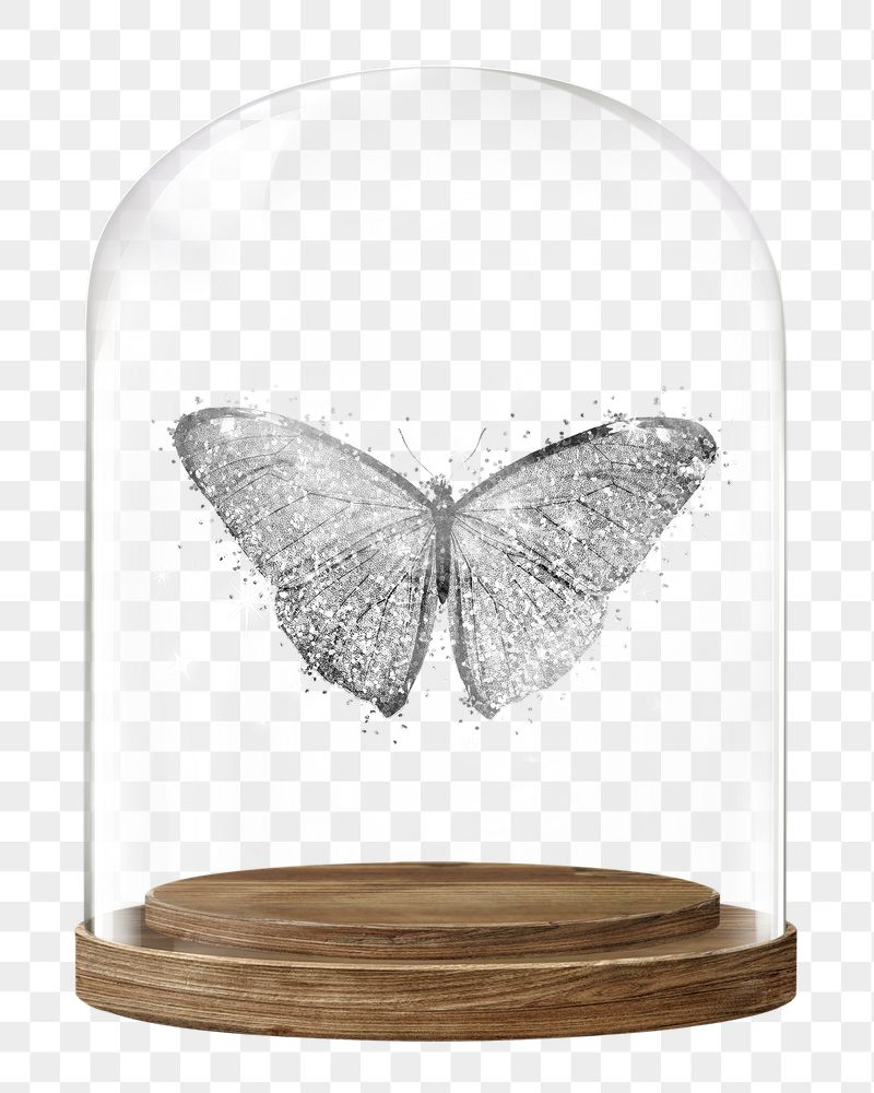 Glittery butterfly png glass dome | Free PNG - rawpixel