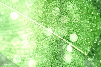 Glittery Calathea Lutea leaf background | Free  illustration - 2341502