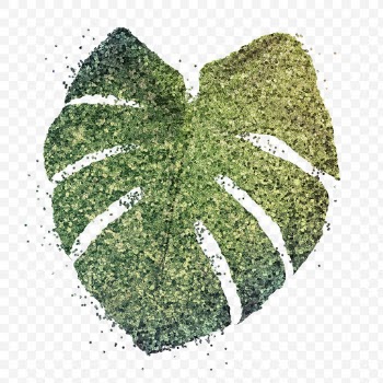 Glittery green monstera leaf sticker overlay design element | Free  transparent png - 2350798